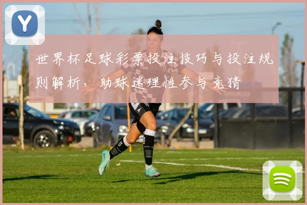 世界杯足球彩票投注技巧与投注规则解析，助球迷理性参与竞猜