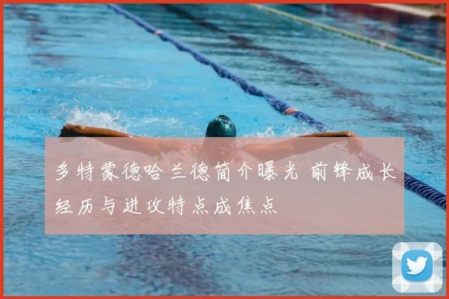 多特蒙德哈兰德简介曝光 前锋成长经历与进攻特点成焦点