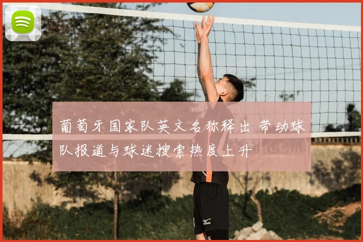 葡萄牙国家队英文名称释出 带动球队报道与球迷搜索热度上升