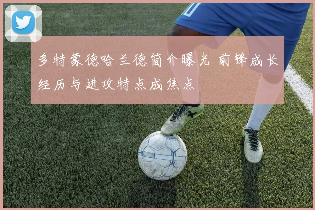多特蒙德哈兰德简介曝光 前锋成长经历与进攻特点成焦点