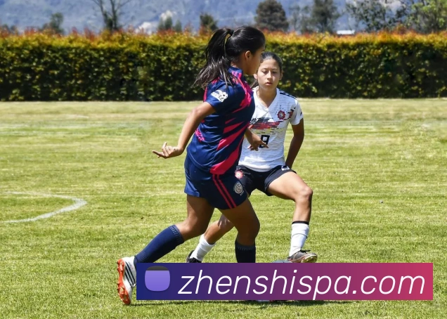 国际米兰官方网站APP 高清赛事图